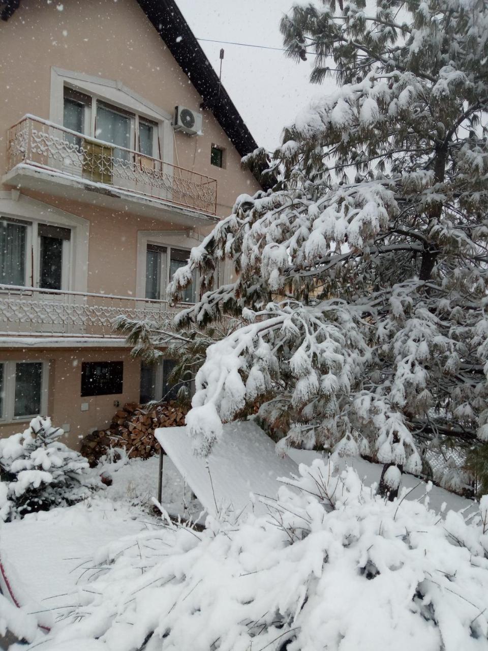 Hostel Bata Magyarkanizsa Kültér fotó